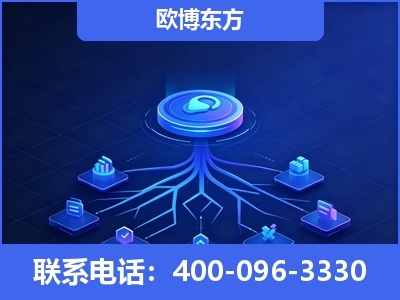 合作-全链豆包优化